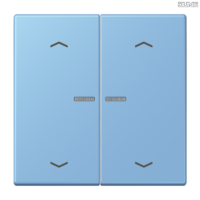 Jung BRG 12-5 PK 42 Abdeckung mit Kipphebel "Kegel" 1-fach 2 Kipphebel