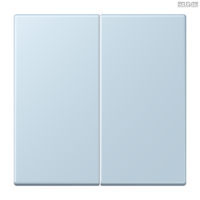 Jung BRG 12-5 PK 42 Abdeckung mit Kipphebel "Kegel" 1-fach 2 Kipphebel