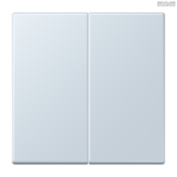 Jung BRG 12-5 PK 42 Abdeckung mit Kipphebel "Kegel" 1-fach 2 Kipphebel