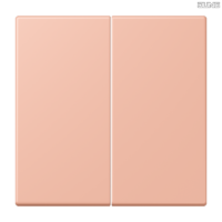Jung BRG 12-5 PK 42 Abdeckung mit Kipphebel "Kegel" 1-fach 2 Kipphebel