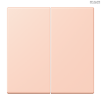 Jung BRG 12-5 PK 42 Abdeckung mit Kipphebel "Kegel" 1-fach 2 Kipphebel