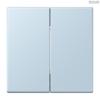 Jung BRG 12-5 PK 42 Abdeckung mit Kipphebel "Kegel" 1-fach 2 Kipphebel