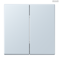 Jung BRG 12-5 PK 42 Abdeckung mit Kipphebel "Kegel" 1-fach 2 Kipphebel