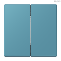 Jung BRG 12-5 PK 42 Abdeckung mit Kipphebel "Kegel" 1-fach 2 Kipphebel