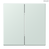 Jung BRG 12-5 PK 42 Abdeckung mit Kipphebel "Kegel" 1-fach 2 Kipphebel