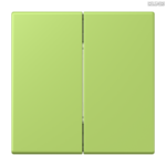 Jung BRG 12-5 PK 42 Abdeckung mit Kipphebel "Kegel" 1-fach 2 Kipphebel