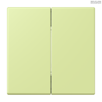 Jung BRG 12-5 PK 42 Abdeckung mit Kipphebel "Kegel" 1-fach 2 Kipphebel