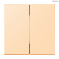 Jung BRG 12-5 PK 42 Abdeckung mit Kipphebel "Kegel" 1-fach 2 Kipphebel