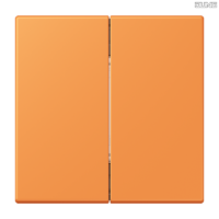 Jung BRG 12-5 PK 42 Abdeckung mit Kipphebel "Kegel" 1-fach 2 Kipphebel