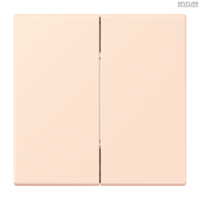 Jung BRG 12-5 PK 42 Abdeckung mit Kipphebel "Kegel" 1-fach 2 Kipphebel