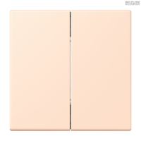 Jung BRG 12-5 PK 42 Abdeckung mit Kipphebel "Kegel" 1-fach 2 Kipphebel