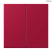 Jung BRG 12-5 PK 42 Abdeckung mit Kipphebel "Kegel" 1-fach 2 Kipphebel