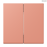 Jung BRG 12-5 PK 42 Abdeckung mit Kipphebel "Kegel" 1-fach 2 Kipphebel
