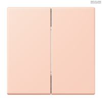 Jung BRG 12-5 PK 42 Abdeckung mit Kipphebel "Kegel" 1-fach 2 Kipphebel