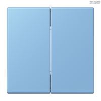 Jung BRG 12-5 PK 42 Abdeckung mit Kipphebel "Kegel" 1-fach 2 Kipphebel