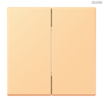Jung BRG 12-5 PK 42 Abdeckung mit Kipphebel "Kegel" 1-fach 2 Kipphebel