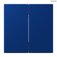 Jung BRG 12-5 PK 42 Abdeckung mit Kipphebel "Kegel" 1-fach 2 Kipphebel