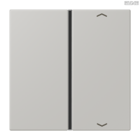 Jung BRG 12-5 PK 42 Abdeckung mit Kipphebel "Kegel" 1-fach 2 Kipphebel