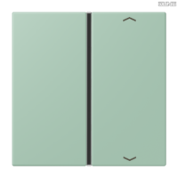 Jung BRG 12-5 PK 42 Abdeckung mit Kipphebel "Kegel" 1-fach 2 Kipphebel
