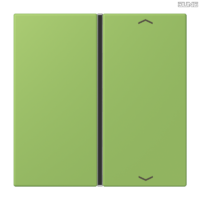 Jung BRG 12-5 PK 42 Abdeckung mit Kipphebel "Kegel" 1-fach 2 Kipphebel
