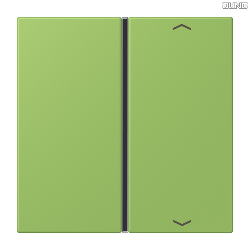 Jung BRG 12-5 PK 42 Abdeckung mit Kipphebel "Kegel" 1-fach 2 Kipphebel