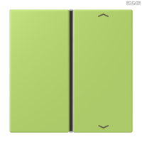 Jung BRG 12-5 PK 42 Abdeckung mit Kipphebel "Kegel" 1-fach 2 Kipphebel
