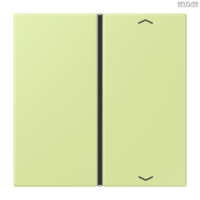 Jung BRG 12-5 PK 42 Abdeckung mit Kipphebel "Kegel" 1-fach 2 Kipphebel