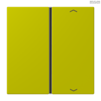 Jung BRG 12-5 PK 42 Abdeckung mit Kipphebel "Kegel" 1-fach 2 Kipphebel