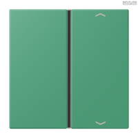 Jung BRG 12-5 PK 42 Abdeckung mit Kipphebel "Kegel" 1-fach 2 Kipphebel