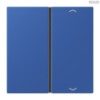 Jung BRG 12-5 PK 42 Abdeckung mit Kipphebel "Kegel" 1-fach 2 Kipphebel