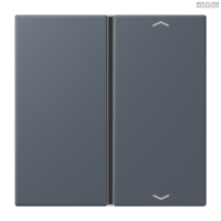 Jung BRG 12-5 PK 42 Abdeckung mit Kipphebel "Kegel" 1-fach 2 Kipphebel