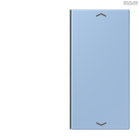 Jung BRG 12-5 PK 42 Abdeckung mit Kipphebel "Kegel" 1-fach 2 Kipphebel
