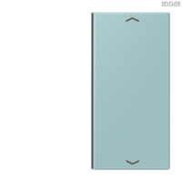 Jung BRG 12-5 PK 42 Abdeckung mit Kipphebel "Kegel" 1-fach 2 Kipphebel
