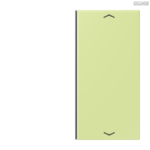 Jung BRG 12-5 PK 42 Abdeckung mit Kipphebel "Kegel" 1-fach 2 Kipphebel