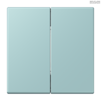 Jung BRG 12-5 PK 42 Abdeckung mit Kipphebel "Kegel" 1-fach 2 Kipphebel