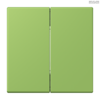 Jung BRG 12-5 PK 42 Abdeckung mit Kipphebel "Kegel" 1-fach 2 Kipphebel