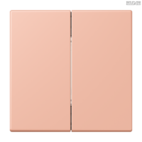 Jung BRG 12-5 PK 42 Abdeckung mit Kipphebel "Kegel" 1-fach 2 Kipphebel