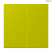 Jung BRG 12-5 PK 42 Abdeckung mit Kipphebel "Kegel" 1-fach 2 Kipphebel