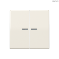 Jung BRG 12-5 PK 42 Abdeckung mit Kipphebel "Kegel" 1-fach 2 Kipphebel