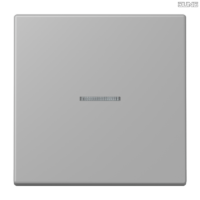 Jung BRG 12-5 PK 42 Abdeckung mit Kipphebel "Kegel" 1-fach 2 Kipphebel