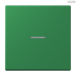 Jung BRG 12-5 PK 42 Abdeckung mit Kipphebel "Kegel" 1-fach 2 Kipphebel