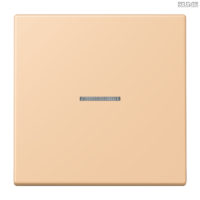 Jung BRG 12-5 PK 42 Abdeckung mit Kipphebel "Kegel" 1-fach 2 Kipphebel