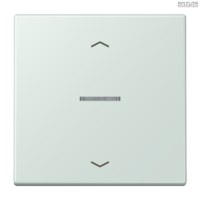 Jung BRG 12-5 PK 42 Abdeckung mit Kipphebel "Kegel" 1-fach 2 Kipphebel