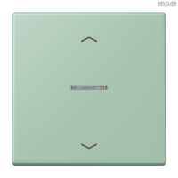 Jung BRG 12-5 PK 42 Abdeckung mit Kipphebel "Kegel" 1-fach 2 Kipphebel