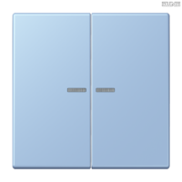 Jung BRG 12-5 PK 42 Abdeckung mit Kipphebel "Kegel" 1-fach 2 Kipphebel