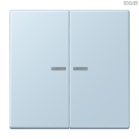Jung BRG 12-5 PK 42 Abdeckung mit Kipphebel "Kegel" 1-fach 2 Kipphebel