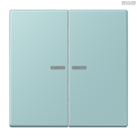 Jung BRG 12-5 PK 42 Abdeckung mit Kipphebel "Kegel" 1-fach 2 Kipphebel