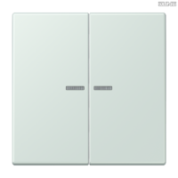 Jung BRG 12-5 PK 42 Abdeckung mit Kipphebel "Kegel" 1-fach 2 Kipphebel