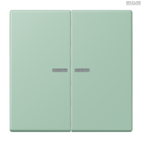 Jung BRG 12-5 PK 42 Abdeckung mit Kipphebel "Kegel" 1-fach 2 Kipphebel