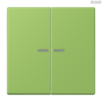 Jung BRG 12-5 PK 42 Abdeckung mit Kipphebel "Kegel" 1-fach 2 Kipphebel